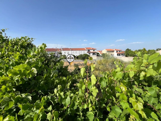 Terreno para Venda em Castelo Branco Foto 6