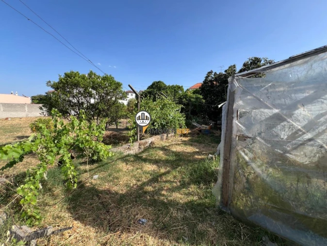 Terreno para Venda em Castelo Branco Foto 13