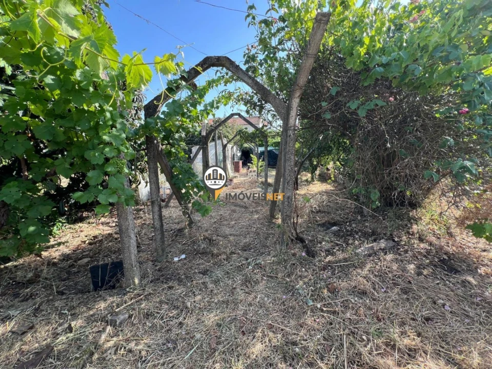 Terreno para Venda em Castelo Branco Foto 2