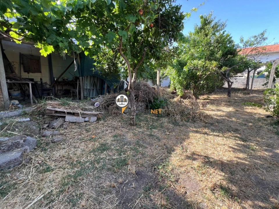 Terreno para Venda em Castelo Branco Foto 8