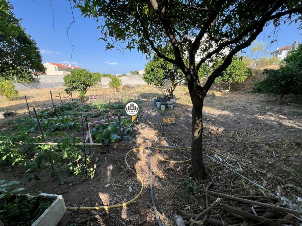 Terreno para Venda em Castelo Branco Foto 11