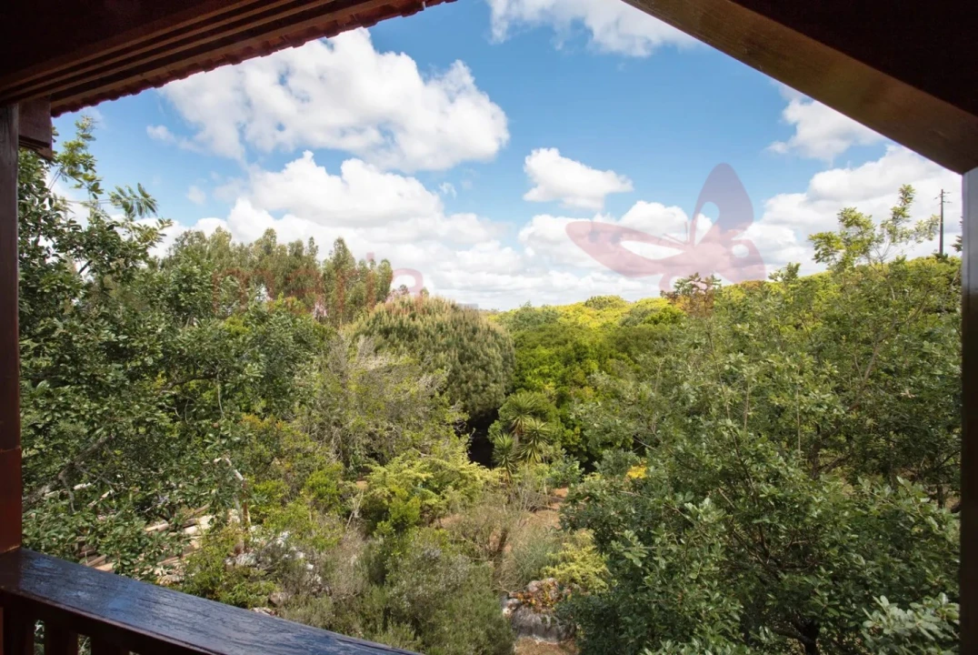 Moradia T1 para Arrendamento férias em Reguengo Grande Foto 20