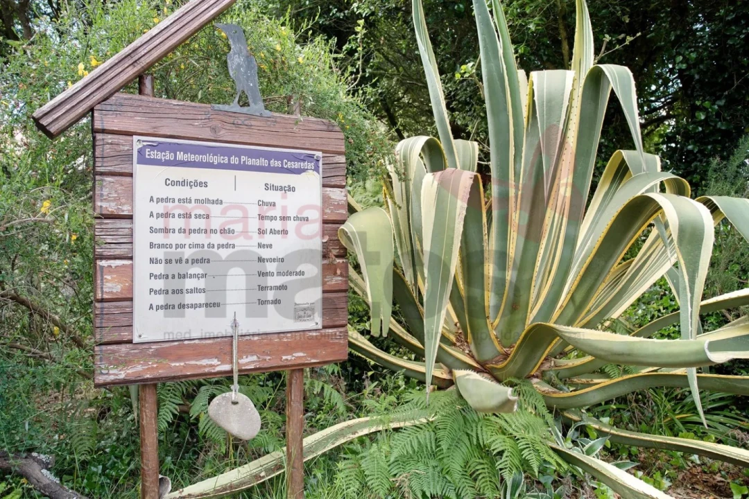 Moradia T1 para Arrendamento férias em Reguengo Grande Foto 29