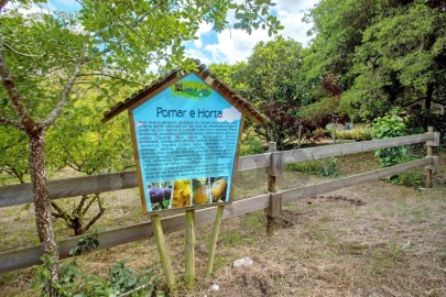 Moradia T1 para Arrendamento férias em Reguengo Grande