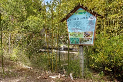 Moradia T1 para Arrendamento férias em Reguengo Grande