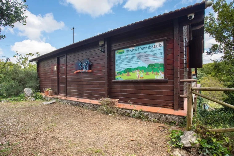 Moradia T1 para Arrendamento férias em Reguengo Grande Foto 21