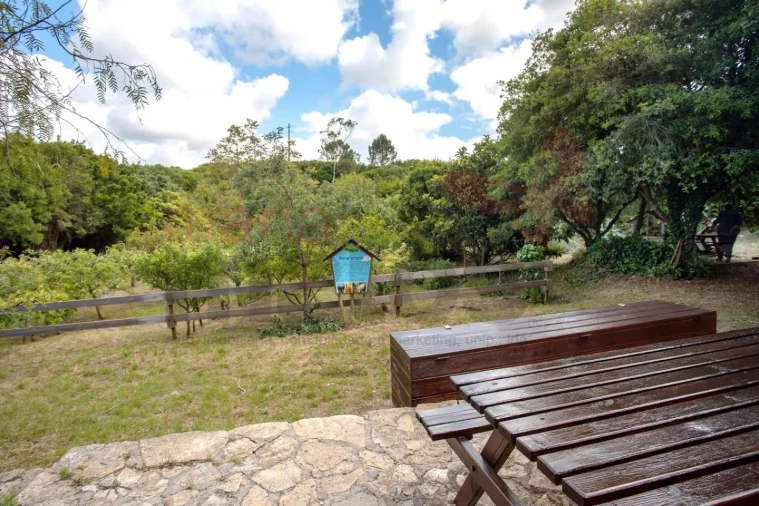 Moradia T1 para Arrendamento férias em Reguengo Grande Foto 25