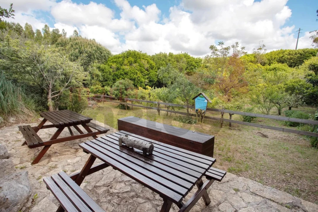 Moradia T1 para Arrendamento férias em Reguengo Grande Foto 20