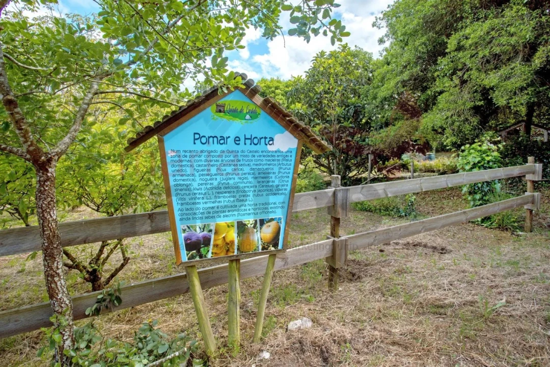 Moradia T1 para Arrendamento férias em Reguengo Grande Foto 22