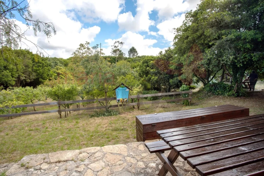 Moradia T1 para Arrendamento férias em Reguengo Grande Foto 23