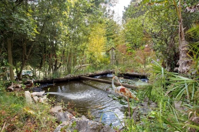 Moradia T1 para Arrendamento férias em Reguengo Grande