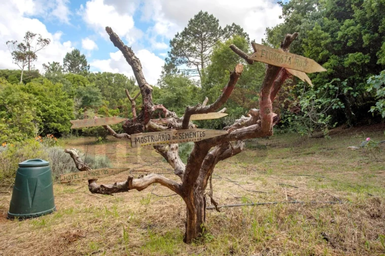 Moradia T1 para Arrendamento férias em Reguengo Grande Foto 26