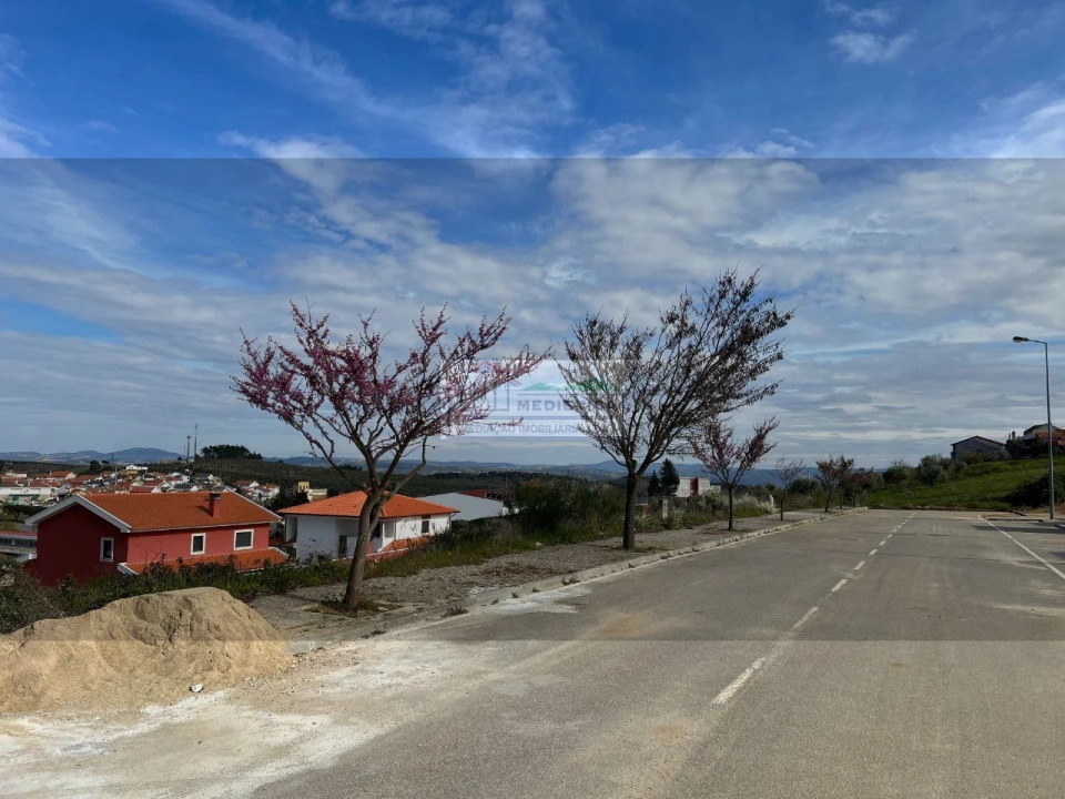 Terreno para Venda em Alfandega da Fe Foto 4