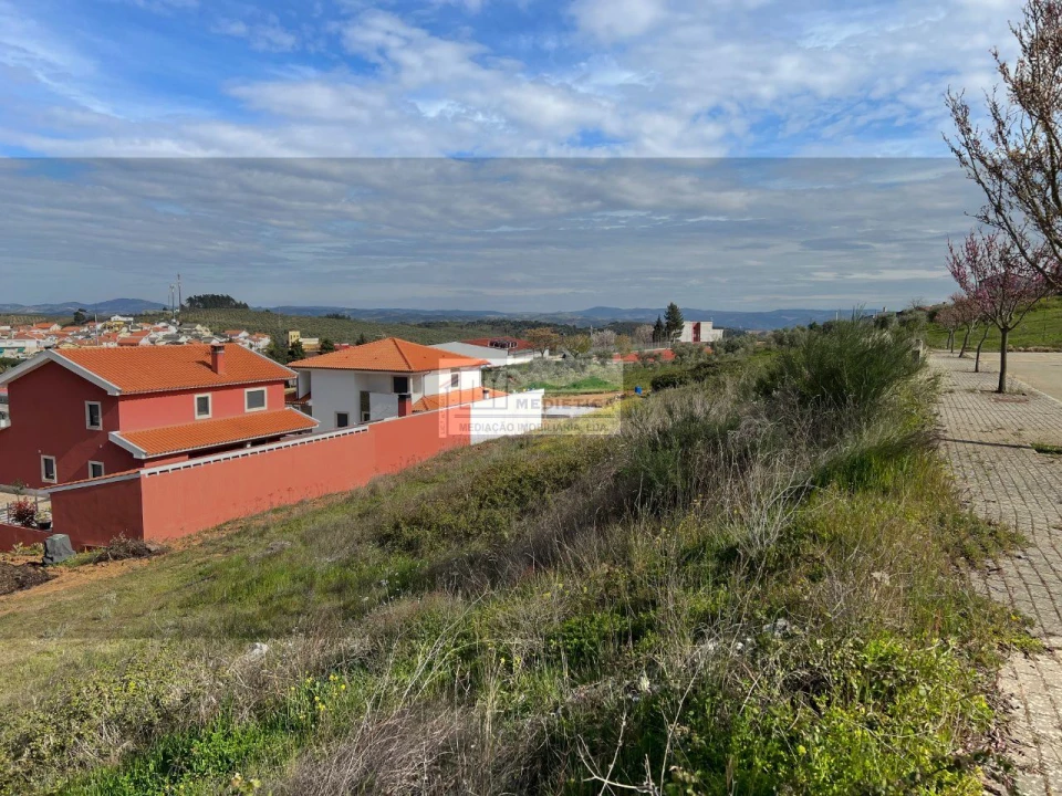 Terreno para Venda em Alfandega da Fe Foto 5