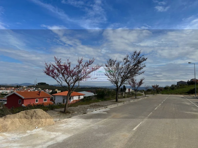 Terreno para Venda em Alfandega da Fe Foto 4