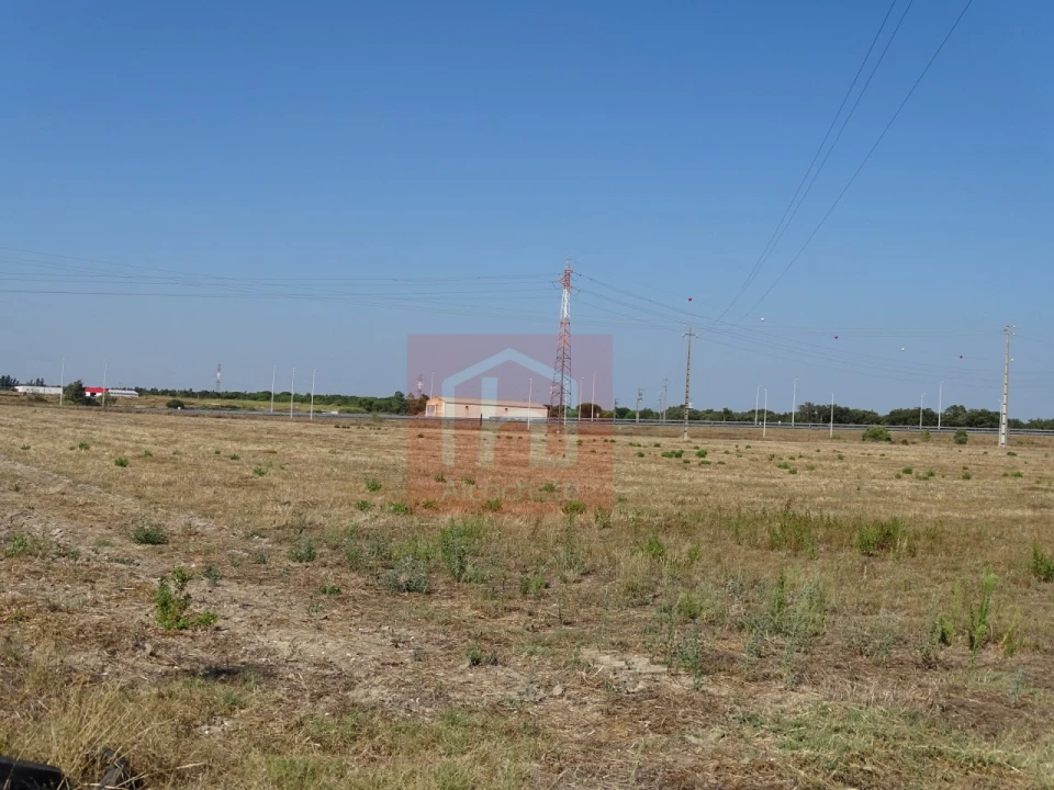 Terreno Agricola ou Rústico para Venda em Benavente Foto 4
