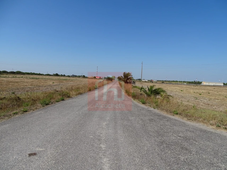Terreno Agricola ou Rústico para Venda em Benavente Foto 5