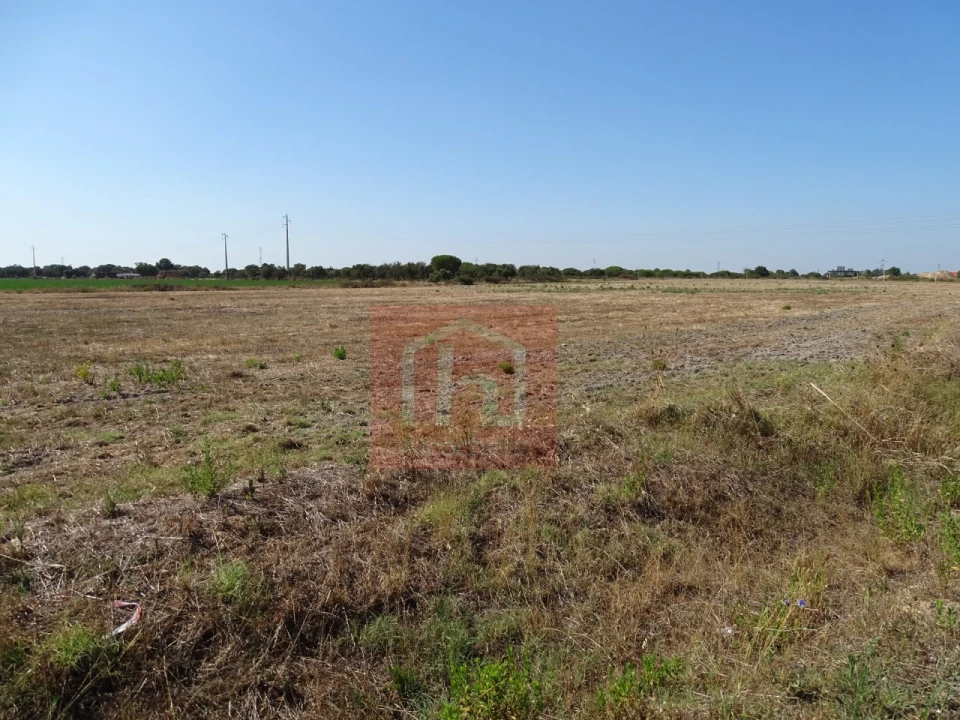 Terreno Agricola ou Rústico para Venda em Benavente Foto 7