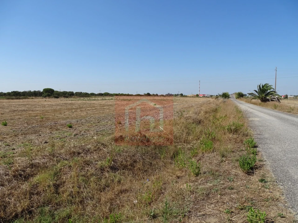 Terreno Agricola ou Rústico para Venda em Benavente Foto 8