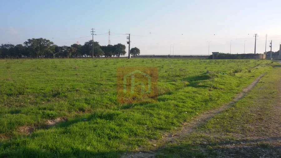 Terreno Agricola ou Rústico para Venda em Benavente Foto 2