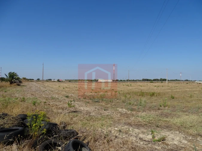 Terreno Agricola ou Rústico para Venda em Benavente Foto 3