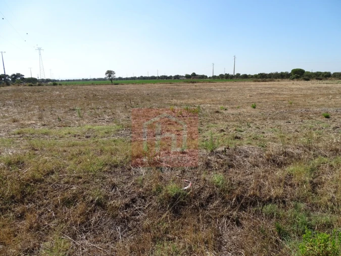 Terreno Agricola ou Rústico para Venda em Benavente Foto 9