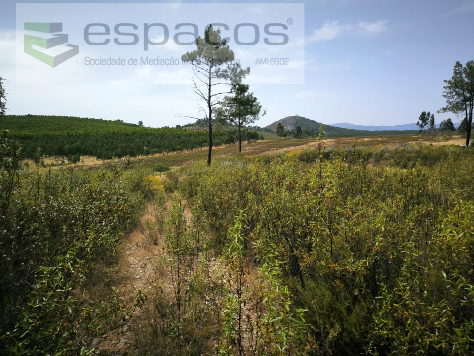 Terreno para Venda em Freixial e Juncal do Campo Foto 4
