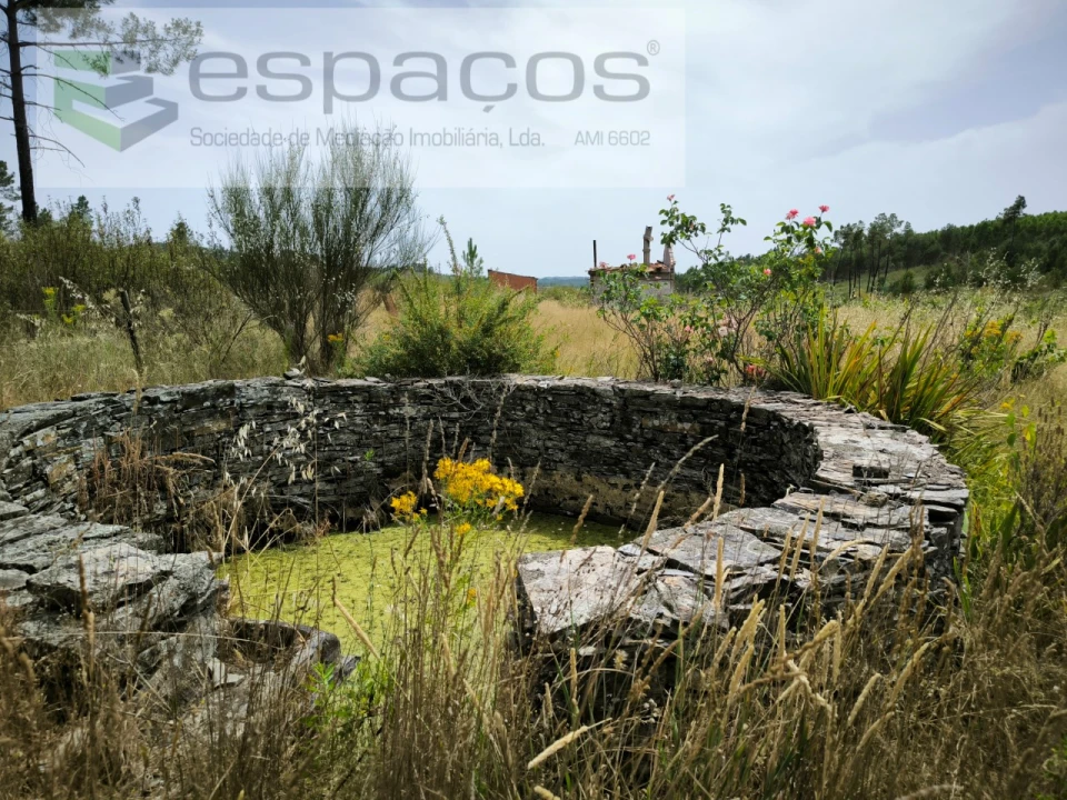 Terreno para Venda em Freixial e Juncal do Campo Foto 6