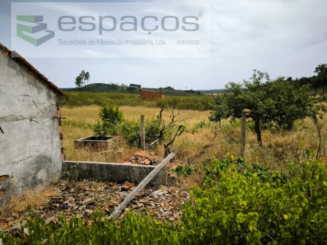 Terreno para Venda em Freixial e Juncal do Campo Foto 7