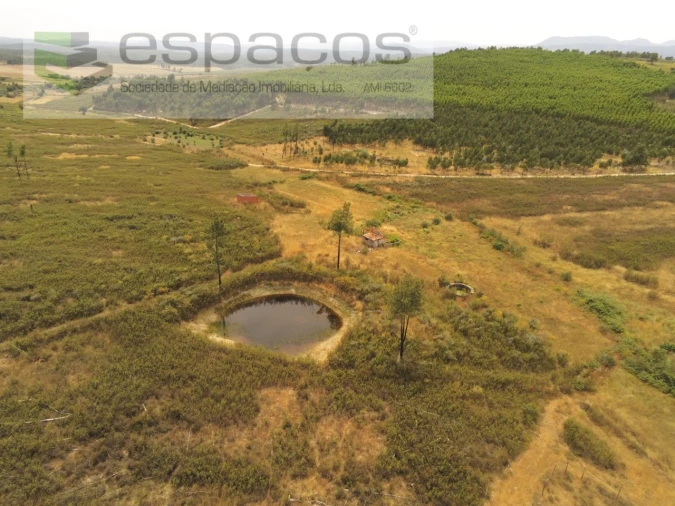 Terreno para Venda em Freixial e Juncal do Campo Foto 2