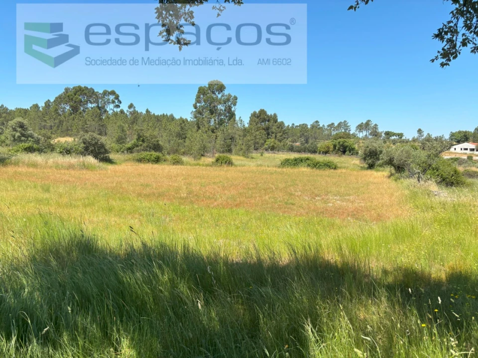 Terreno Agricola ou Rústico para Venda em Benquerenças Foto 2