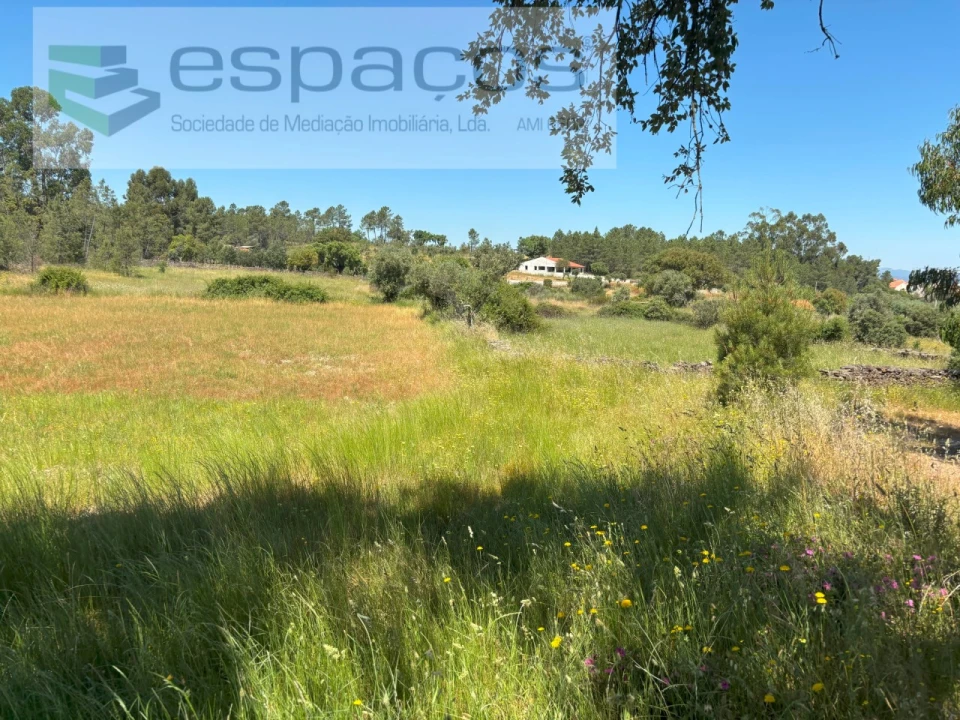 Terreno Agricola ou Rústico para Venda em Benquerenças Foto 3