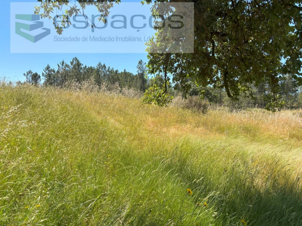 Terreno Agricola ou Rústico para Venda em Benquerenças Foto 4