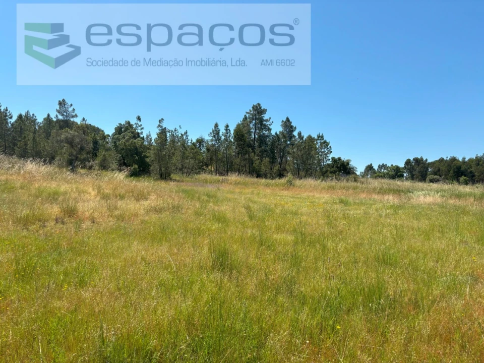 Terreno Agricola ou Rústico para Venda em Benquerenças Foto 1