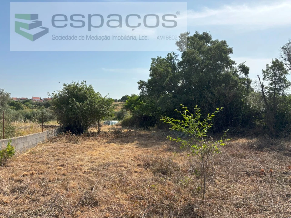 Terreno Agricola ou Rústico para Venda em Benquerenças Foto 7