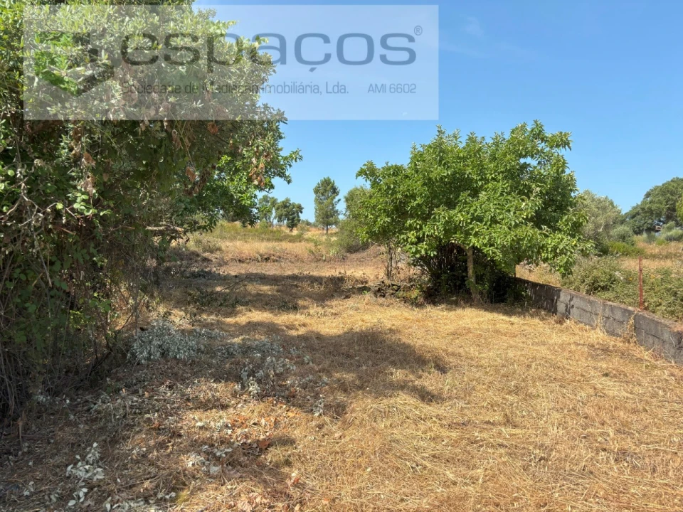 Terreno Agricola ou Rústico para Venda em Benquerenças Foto 8
