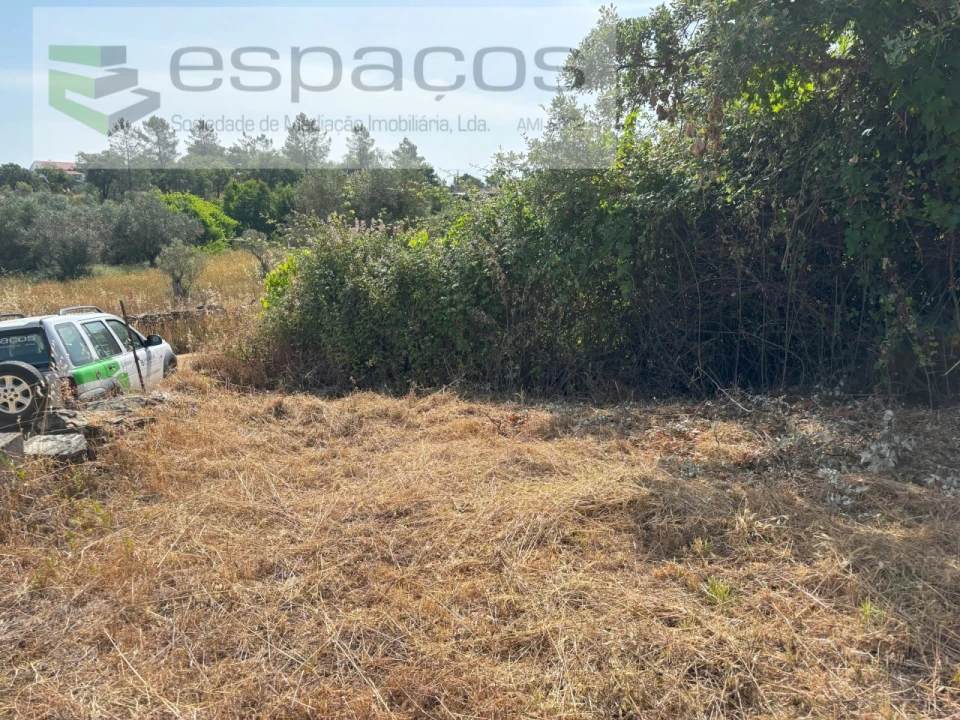 Terreno Agricola ou Rústico para Venda em Benquerenças Foto 9