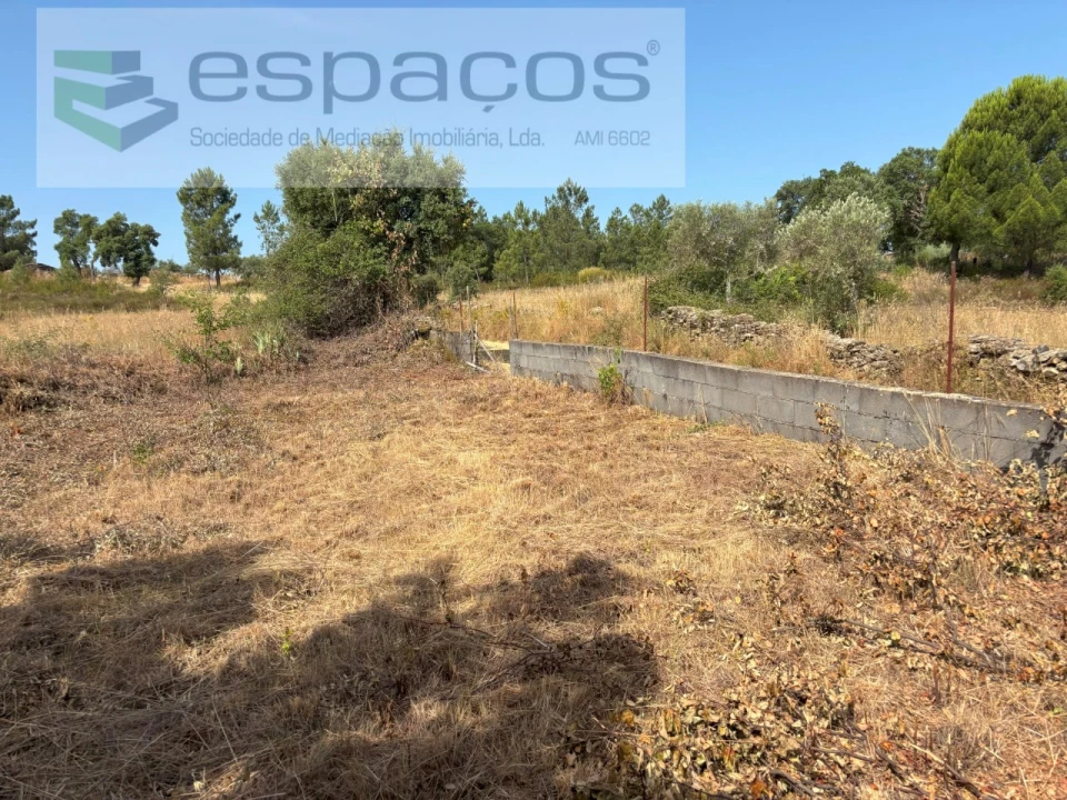 Terreno Agricola ou Rústico para Venda em Benquerenças Foto 11