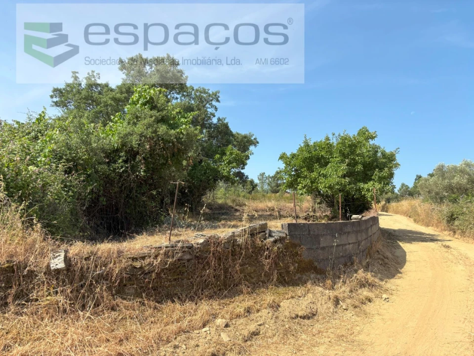 Terreno Agricola ou Rústico para Venda em Benquerenças Foto 13