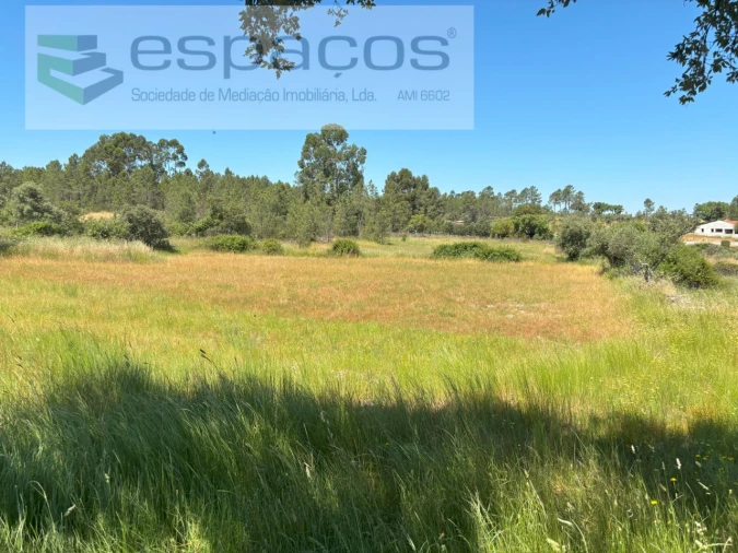 Terreno Agricola ou Rústico para Venda em Benquerenças Foto 2