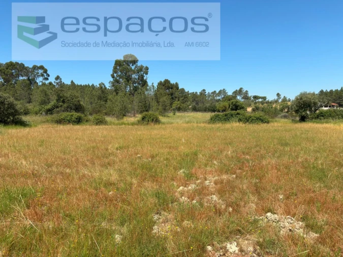 Terreno Agricola ou Rústico para Venda em Benquerenças Foto 5