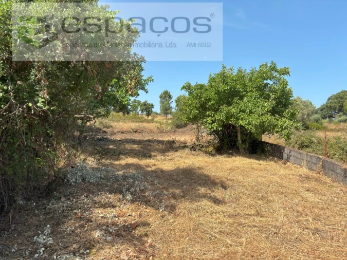 Terreno Agricola ou Rústico para Venda em Benquerenças Foto 8