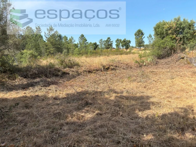 Terreno Agricola ou Rústico para Venda em Benquerenças Foto 12