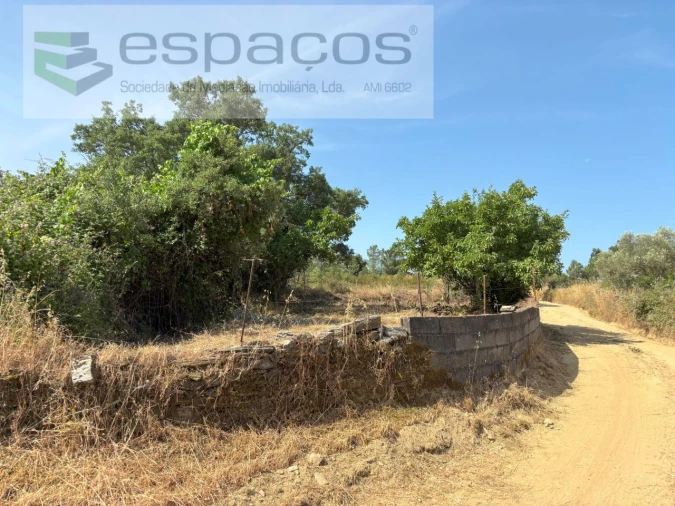 Terreno Agricola ou Rústico para Venda em Benquerenças Foto 13