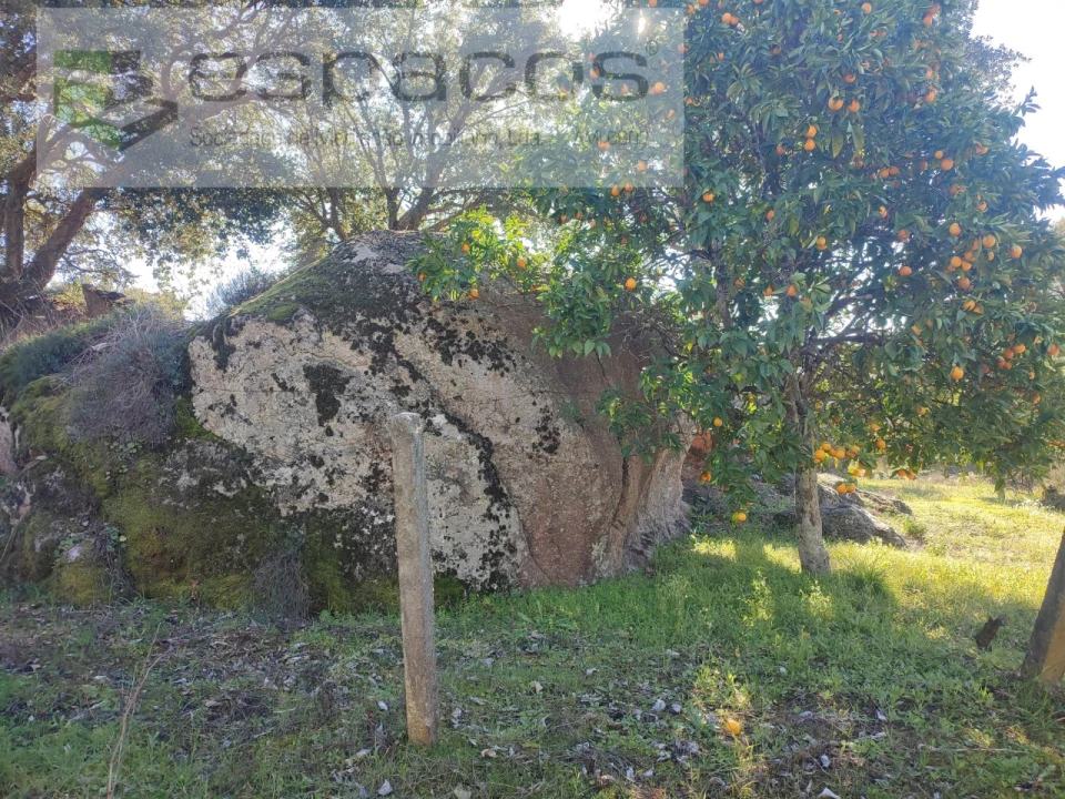 Moradia T4 para Venda em Monsanto e Idanha-A-Velha Foto 19