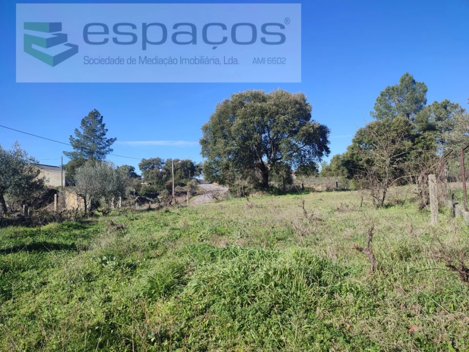 Moradia T4 para Venda em Monsanto e Idanha-A-Velha Foto 26