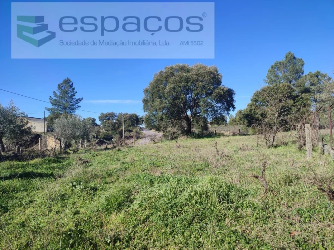 Moradia T4 para Venda em Monsanto e Idanha-A-Velha Foto 26