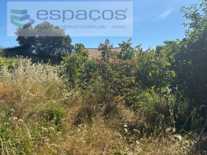 Terreno para Venda em Escalos de Baixo e Mata Foto 4