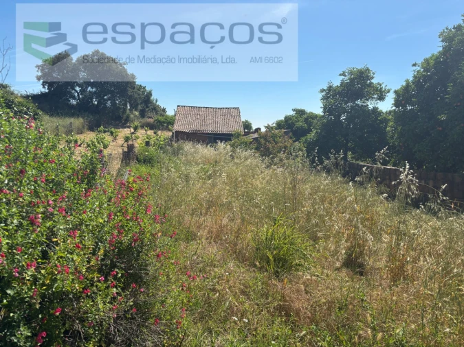 Terreno para Venda em Escalos de Baixo e Mata