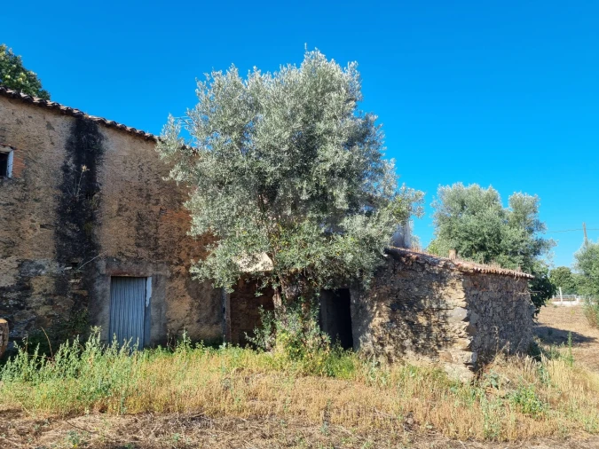 Moradia T2 para Venda em Mouriscas Foto 7